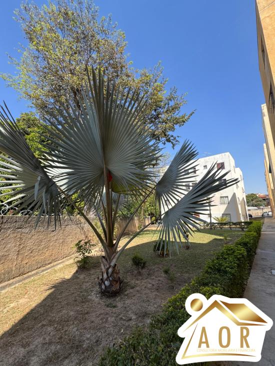 apartamento-venda-bom-retiro-betim-1025877